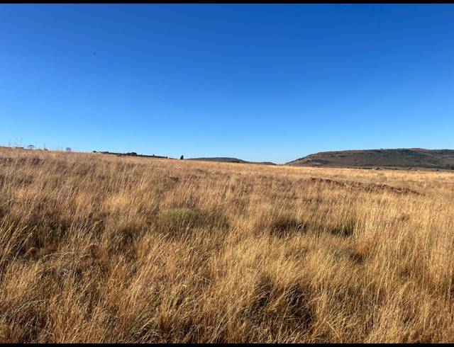10,320M² VACANT LAND FOR SALE IN WALKERVILLE MANOR